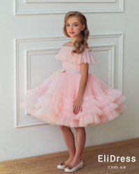 Сукня "Христинка" Eli Dress Family-look