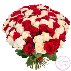 Букет Роз "Ты моё все" из 101 розы