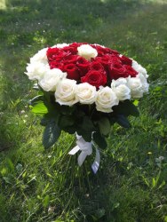 41 роза (стоимость букета формируется от количества и сорта роз.)