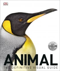 Animal: The Definitive Visual Guide Dorling Kindersley