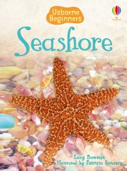 Beginners: Seashore Usborne