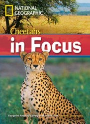 Footprint Reading Library 2200 B2 Cheetahs in Focus! National Geographic Learning