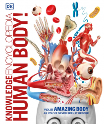 Knowledge Encyclopedia Human Body! Dorling Kindersley