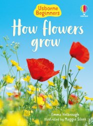 Beginners: How Flowers Grow Usborne