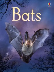 Beginners: Bats Usborne