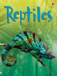 Beginners: Reptiles Usborne
