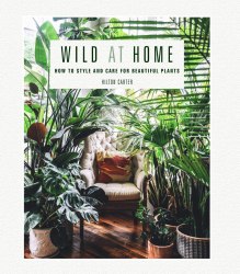 Wild at Home: How to style and care for beautiful plants CICO Books