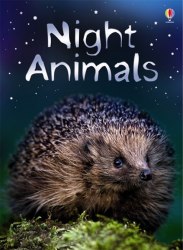Beginners: Night Animals Usborne