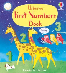 First Numbers Book Usborne