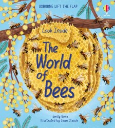 Look Inside the World of Bees Usborne / Книга з віконцями
