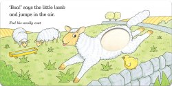 Fluffy Chick Macmillan / Книга з тактильними відчуттями