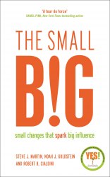 The Small Big: Small Changes That Spark Big Influence Profile Books