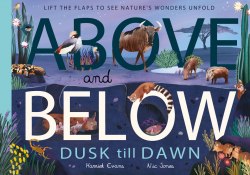 Above and Below: Dusk till Dawn Little Tiger Press / Книга з віконцями