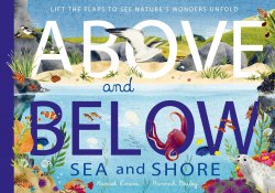 Above and Below: Sea and Shore Little Tiger Press / Книга з віконцями