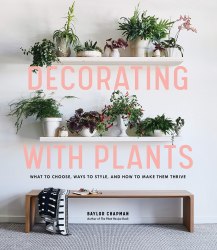Decorating with Plants: What to Choose, Ways to Style, and How to Make Them Thrive Artisan