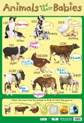 Animals and Their Babies Chart Media / Плакат