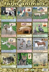 Farm Animals Chart Media / Плакат