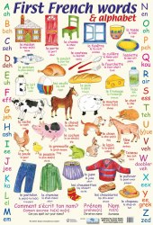 First French Words and Alphabet Chart Media / Плакат