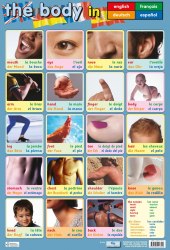 The Body Chart Media / Плакат