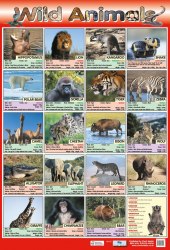 Wild Animals Chart Media / Плакат