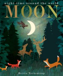 Moon: Night-time around the World Little Tiger Press / Книга з вирізними елементами