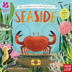 Big Outdoors for Little Explorers: Seaside Nosy Crow / Книга з рухомими елементами