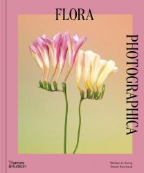 Flora Photographica: The Flower in Contemporary Photography Thames and Hudson