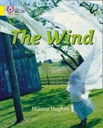 Big Cat 3: The Wind Collins / Книга для читання