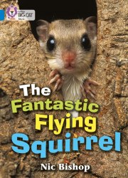 Big Cat 4: The Fantastic Flying Squirrel Collins / Книга для читання