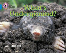 Big Cat 4: What's Underground? Collins / Книга для читання