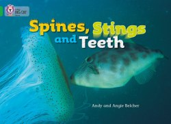 Big Cat 5: Spines, Stings and Teeth Collins / Книга для читання
