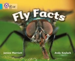 Big Cat 7: Fly Facts Collins / Книга для читання