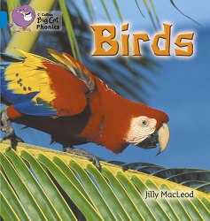 Big Cat Phonics 4: Birds Collins / Книга для читання