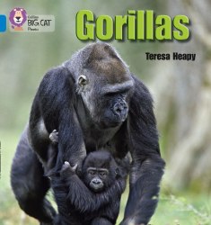 Big Cat Phonics 4: Gorillas Collins / Книга для читання
