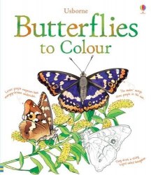 Colouring Book: Butterflies to Colour Usborne / Розмальовка