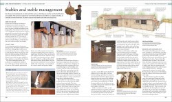 The Horse Encyclopedia Dorling Kindersley