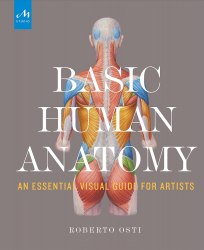 Basic Human Anatomy: An Essential Visual Guide for Artists Monacelli Press