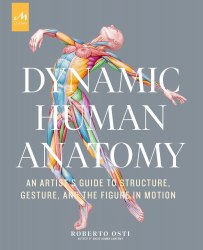 Dynamic Human Anatomy: An Artist's Guide to Structure, Gesture, and the Figure in Motion Monacelli Press