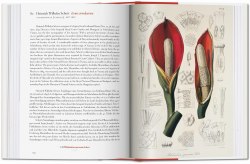 A Garden Eden. Masterpieces of Botanical Illustration (40th Anniversary Edition) Taschen