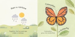 All Change: A Book of Nature's Transformations Little Tiger Press / Книга з віконцями