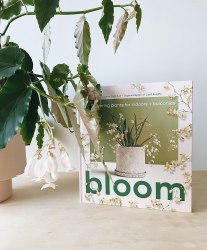 Bloom: Flowering Plants for Indoors and Balconies Thames and Hudson