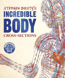Stephen Biesty's Incredible Body Cross-Sections Dorling Kindersley