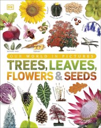 Our World in Pictures: Trees, Leaves, Flowers and Seeds Dorling Kindersley