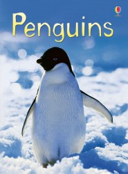 Beginners: Penguins Usborne